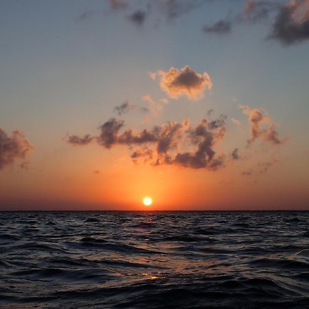 Ikarus Costa Mujeres Eco Lodge Sunset View カンクン エクステリア 写真
