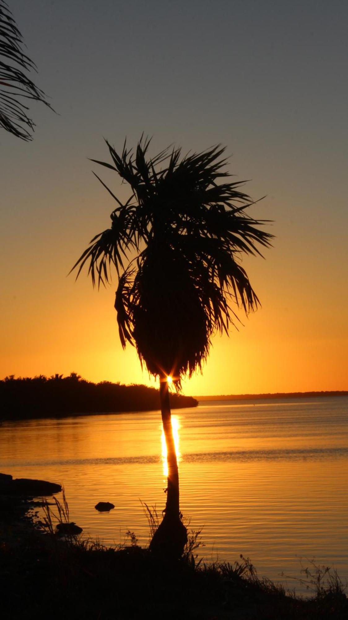 Ikarus Costa Mujeres Eco Lodge Sunset View カンクン エクステリア 写真
