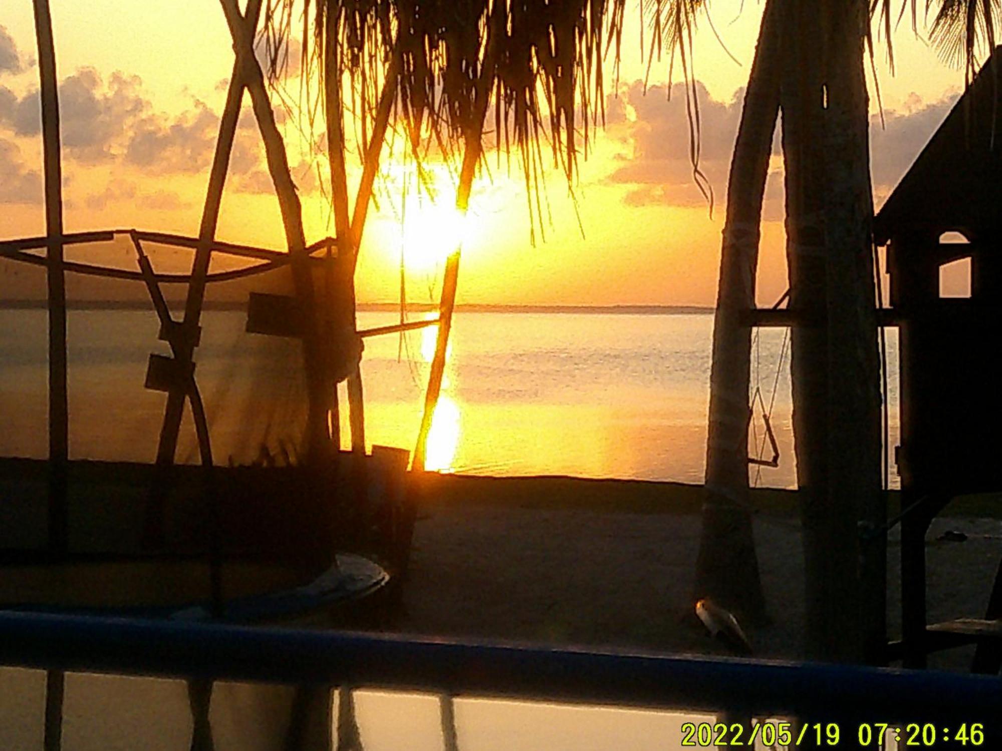 Ikarus Costa Mujeres Eco Lodge Sunset View カンクン エクステリア 写真